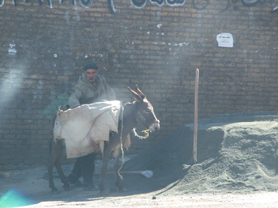 Man with Mule, Kermanshah.