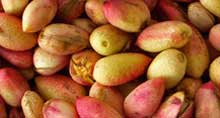 Iranian culture: read articles on food, etiquette and language.